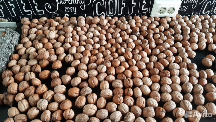 Грецкий орех