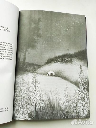 Новая книга 