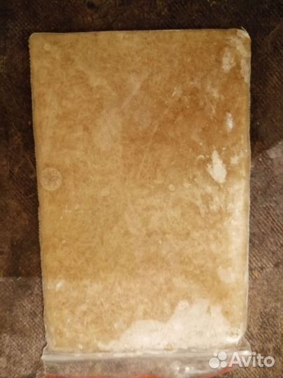 Коретра замороженная