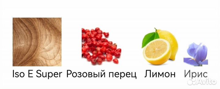 Escentric 01 Escentric Molecules