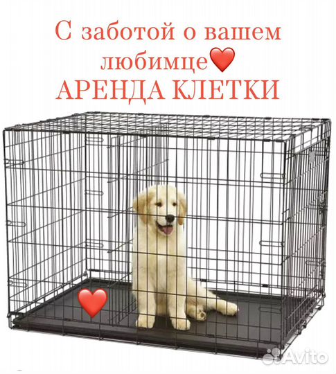 Клетка для собак и кошек аренда