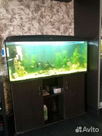 Аквариум с тумбой 240 л