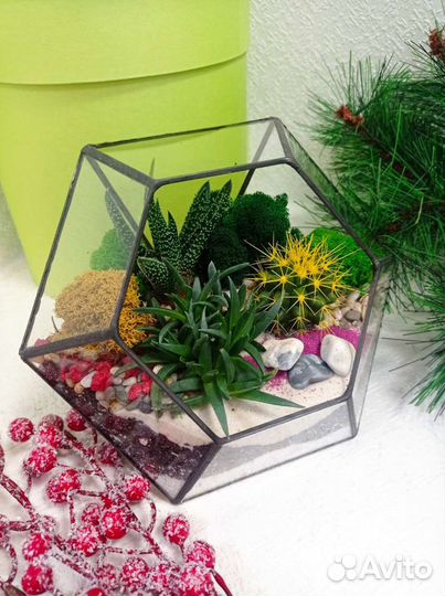 Флорариумы