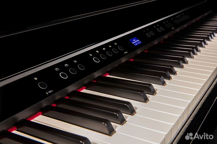 Roland GP 6-PE Цифровой рояль