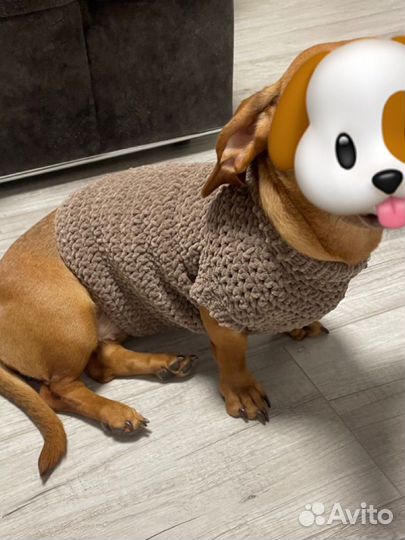 Вязаный свитер для собак