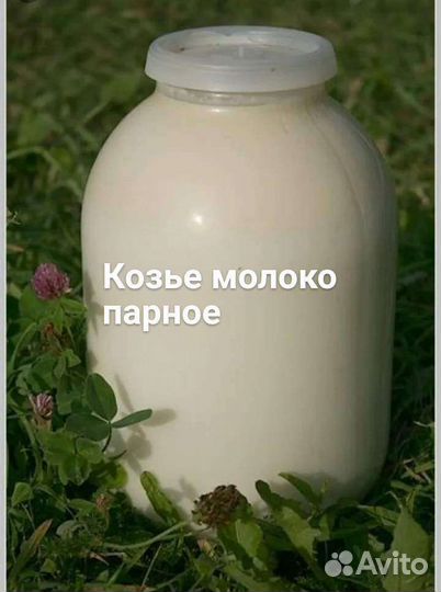 Козье молоко