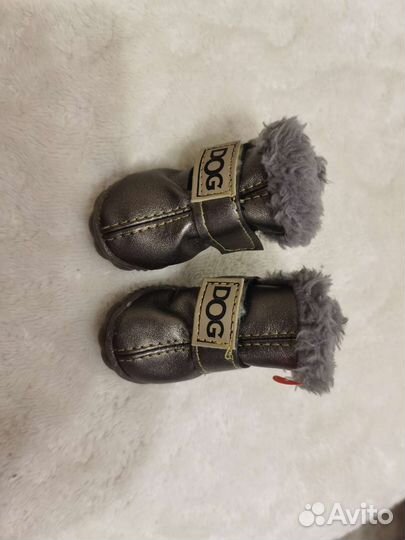 Обувь для маленьких собак