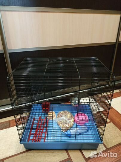 Клетка для крыс