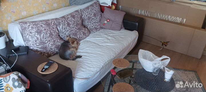 Диван + кровать чердак