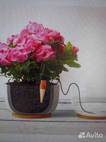 Поилка для комнатных растений, 12 шт, Австрия