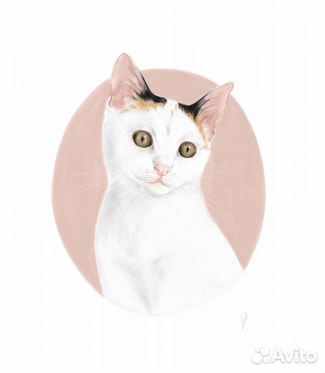 Портрет Вашего питомца