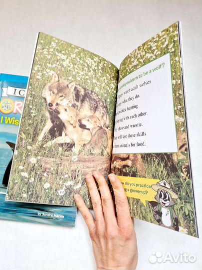 Новые книги на английском языке