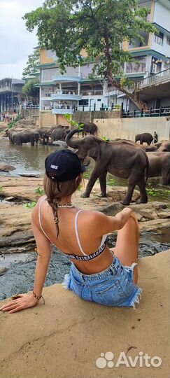 Английский онлайн. От 30 минут