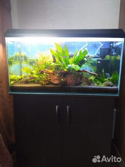 Аквариум с тумбой