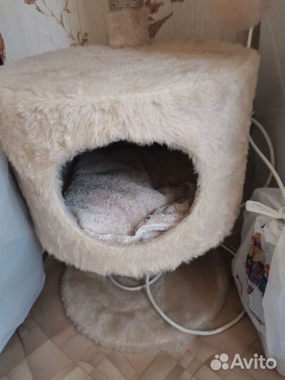 Домик для кошки бу