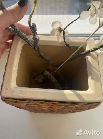 Ваза для цветов