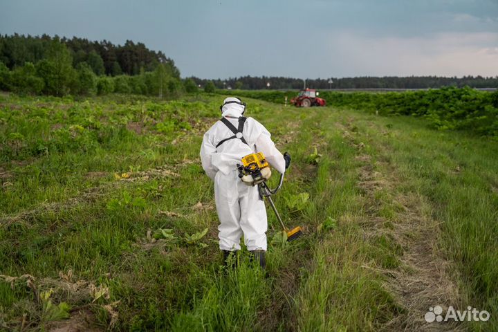 Уничтожение кротов клещей борщевика ос комаров