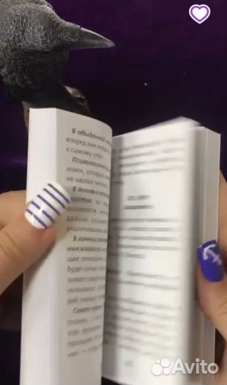 Таро Путь глупца