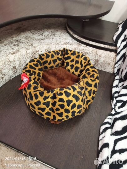 Лежанка для котенка