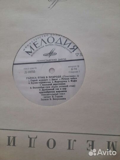 Виниловые пластинки