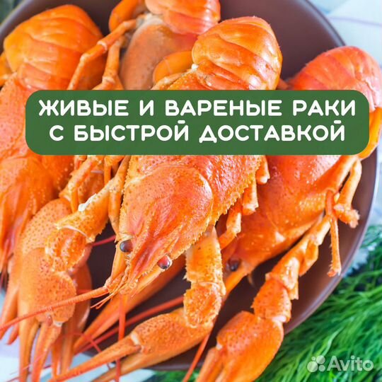 Живые раки