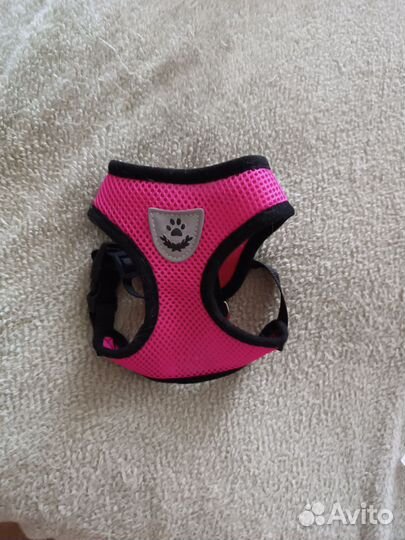 Майка шлейка для кошек