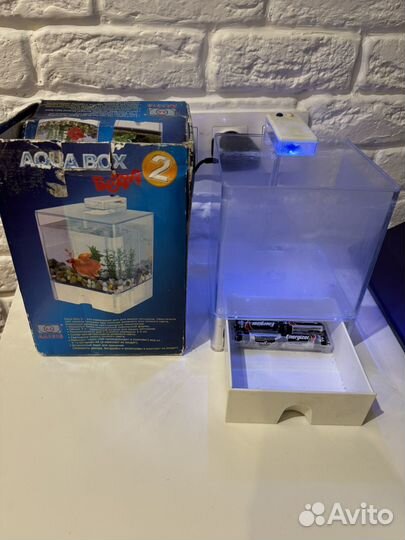 Мини аквариум для петушка