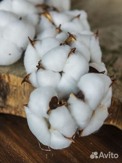 Хлопок дизайн