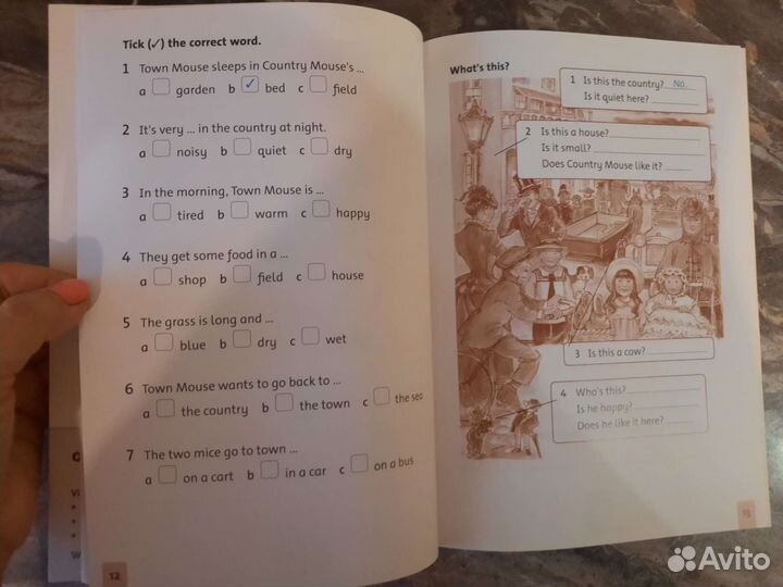 Family and Friends 2. The Town Mouse