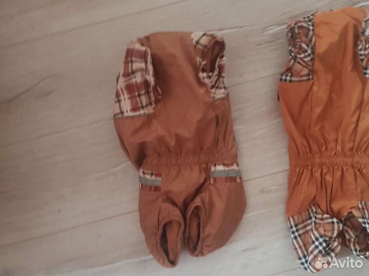 Костюмчики для таксы(девочки)