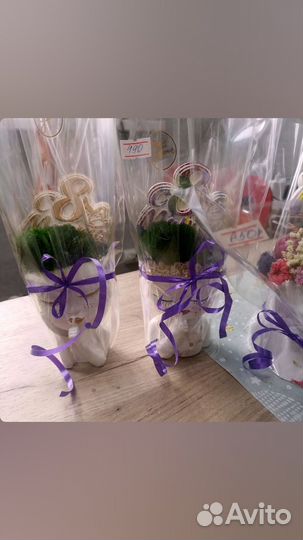 Подарок на 8марта. Декор из гипса. Мох