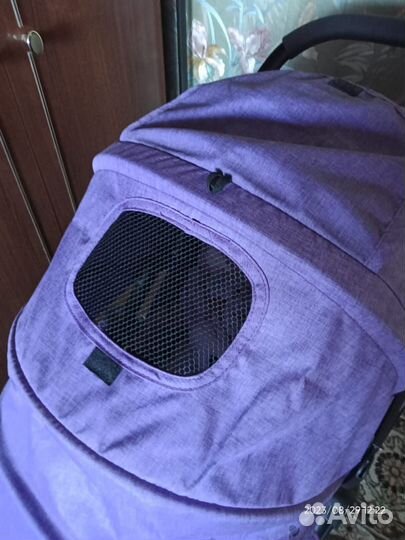 Коляска оснь- зима