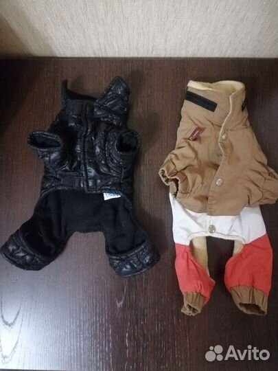 Одежда для маленькой собачки