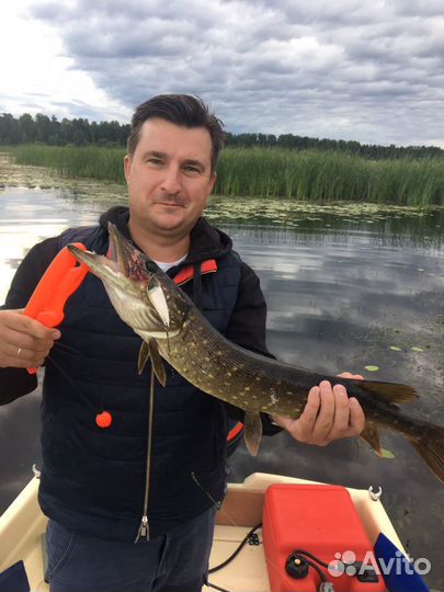 Организация рыбалки на хищника с егерем