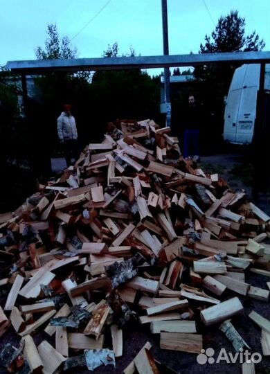 Дрова Ольха любого объема навалом
