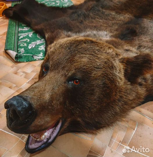 Ковер новый