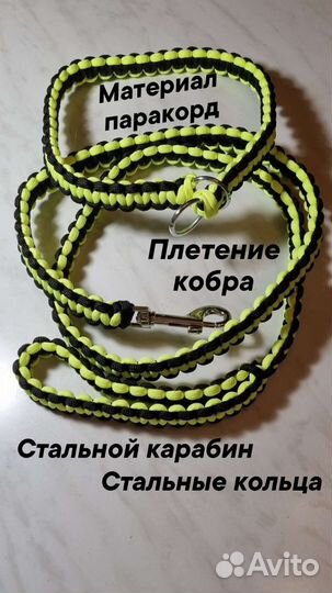 Ошейник и поводок