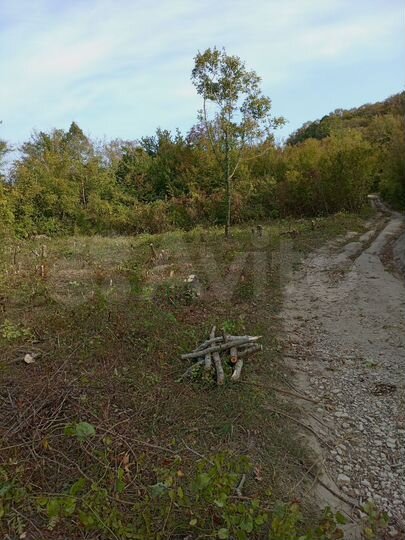 Участок 4 сот. (СНТ, ДНП)