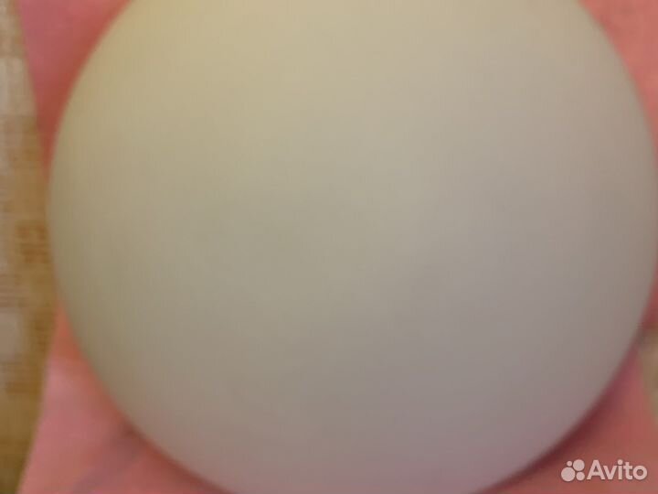 Светильник потолочно-настенный (стеклянный )