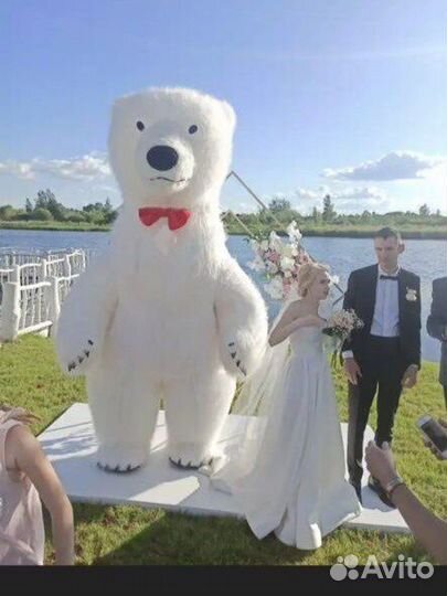 Белый мишка поздравление белый медведь