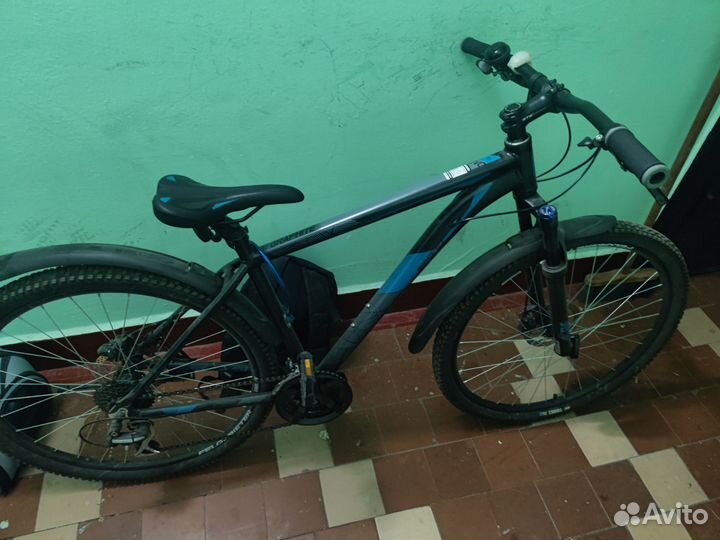 Stinger Graphite Evo 27.5 2023