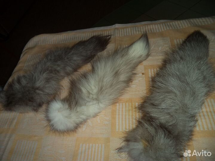 Меховые шкурки