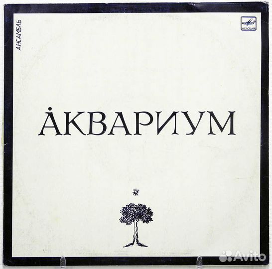 Аквариум- Равноденствие