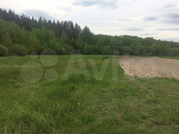 Участок 25 сот. (ИЖС)