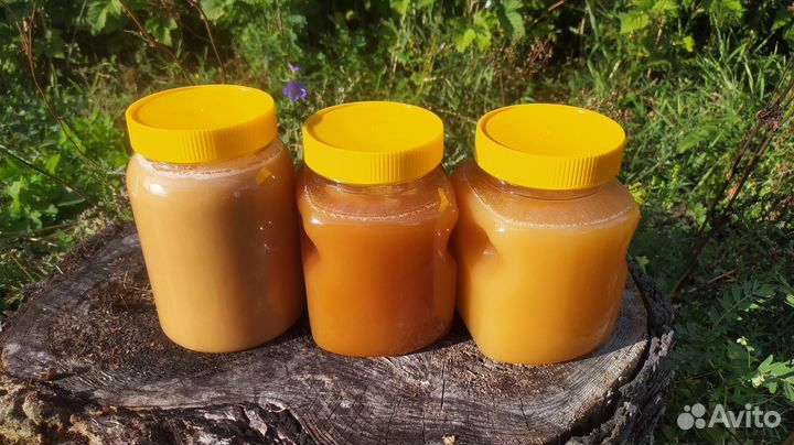 Мед алтайский