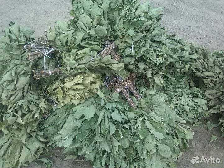 Берёзовые Веники для бани