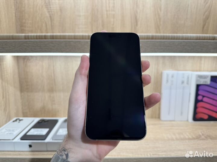 iPhone 15 Pro Max, 256 ГБ