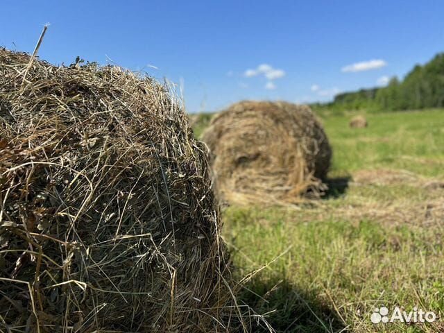 Продам сено на грядки, в теплицы