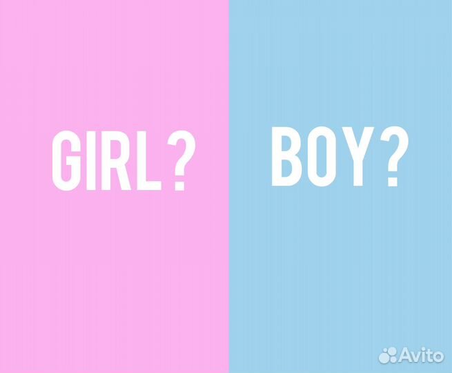 Организация гендер пати