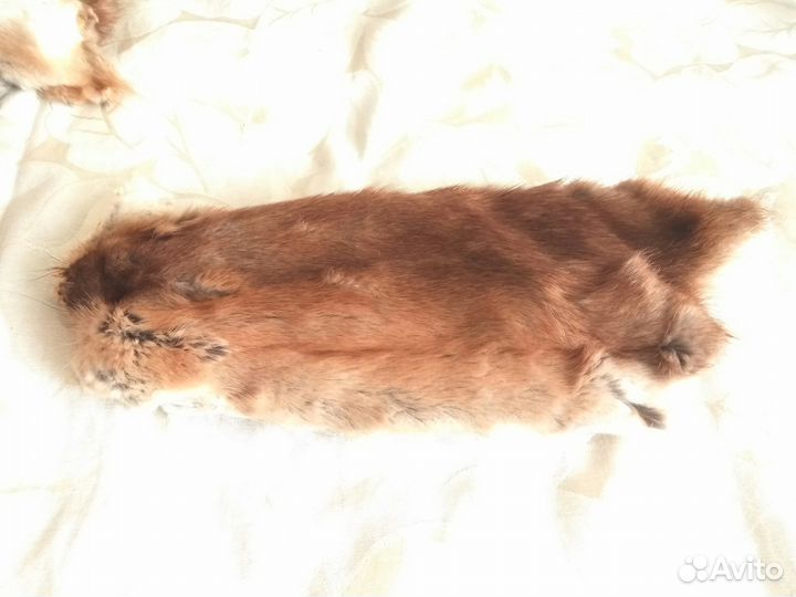 Шкурки от норки, горностая и барсука в комплекте